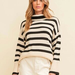 Stripped Turtleneck Sweater
